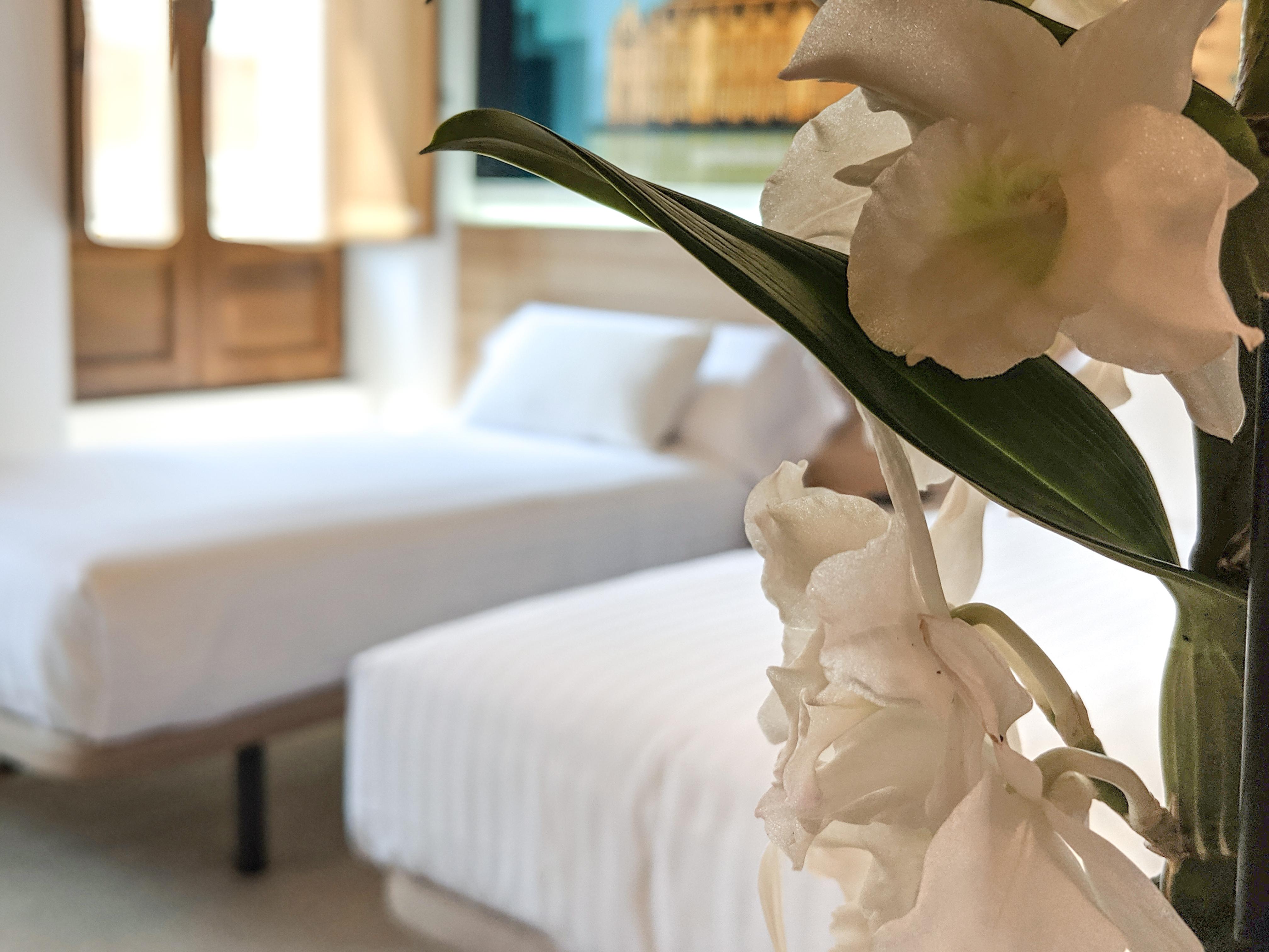 Original Domino House Hotel Валенсия Екстериор снимка